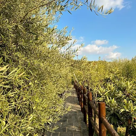 Villa Terre Katia Santa Maria di Licodia