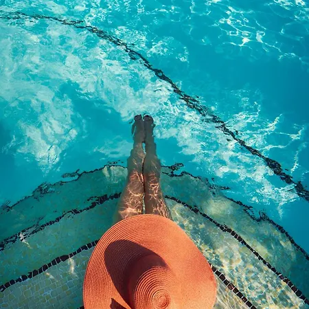 Terre Katia فيلة
